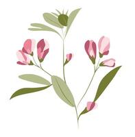 abstrakt rosa ärta blomma på kvist i platt design. blomning växt gren. illustration isolerat. vektor