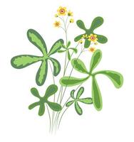 abstrakt fält vild blomma i platt design. daisy blomma med löv. illustration isolerat. vektor