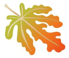 abstrakt Herbst Ahorn Blatt mit Venen im eben Design. fallen Orange Laub. Illustration isoliert. vektor