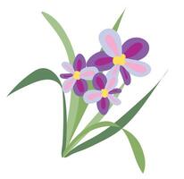 lila Blühen Gänseblümchen im Gras im eben Design. Frühling Wildblumen. Illustration isoliert. vektor