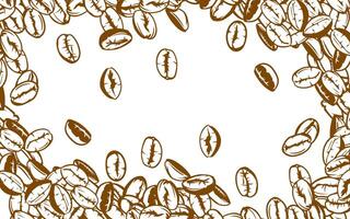 Kaffee Hintergrund. Kaffee Bohnen im Rahmen, Grenze. Kaffee Bohnen isoliert auf ein Weiß Hintergrund. Kaffee Bohnen Hintergrund. Kaffee Bohnen Illustration zum Verpackung. vektor