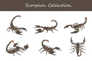 scorpion samling. scorpion i annorlunda poserar. vektor