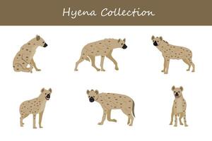 hyena samling. hyena i annorlunda poser vektor