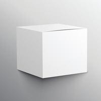 realistisk tömma låda attrapp mall design vektor