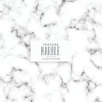vit marmor textur bakgrund design vektor
