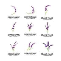 lavendel blommig aromatisk logotyp vektor ikon illustration design