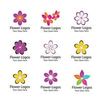 Schönheit Plumeria Symbol Blumen Design Illustration Vorlage vektor