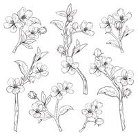 Blühender Baum Sammlung einstellen. Hand gezeichnete botanische Blütenniederlassungen auf weißem Hintergrund. Vektor-illustration vektor