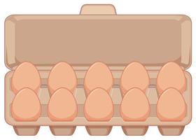 Isolerat ägg i kartong vektor