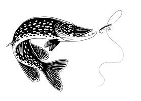 gädda fisk illustration i årgång hand dragen stil vektor
