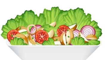 gesunde Mahlzeit mit Salatschüssel aus frischem Gemüse vektor