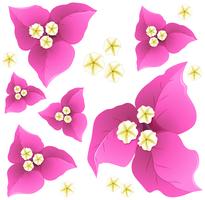 Seamless bakgrundsdesign med rosa paperflowers vektor