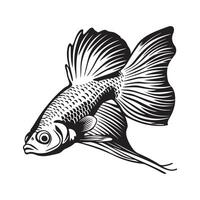 Guppy Fisch Bild isoliert auf Weiß Hintergrund. schwarz und Weiß Guppy Fisch vektor
