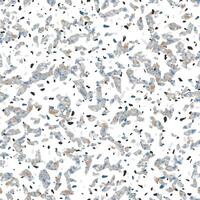 Terrazzo Stein Textur nahtlos Muster Design grau auf Weiß Hintergrund vektor