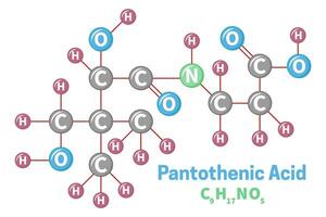 pantothenisch Acid Vitamin b5 Molekül Formel Illustration vektor