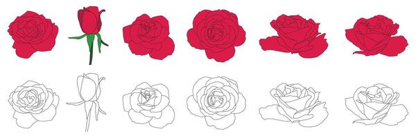 röd reste sig och översikt blomma illustration uppsättning. isolerat samling på vit bakgrund vektor