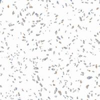 Licht Beige Terrazzo Stein Textur nahtlos Muster Design auf Weiß Hintergrund vektor