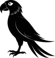 schwarz Papagei Silhouette auf Weiß Hintergrund Illustration vektor