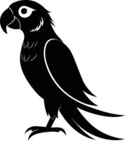 schwarz Papagei Silhouette auf Weiß Hintergrund Illustration vektor
