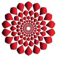 ein Spiral- rot Mandala Blume Design. vektor