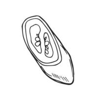 chili peppar skivor hand dragen illustration. vektor