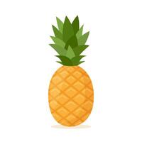 ananasfrukt. sommarfrukt för hälsosam livsstil. vektor