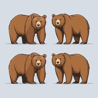 einstellen von Bären im anders Posen. wild braun Bär Tier Symbole isoliert auf Weiß Hintergrund. Grizzly Bär Stehen, Sitzung und gehen. Illustration. vektor