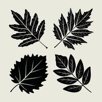 aska träd blad. linjär illustration. översikt, silhuett, linje konst teckning isolerat på vit bakgrund vektor