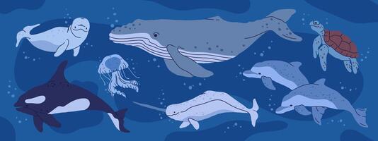 vild hav djur. under vattnet fauna, val, späckhuggare, sköldpadda och manet, hand dragen under vattnet vatten- djur platt illustration uppsättning. antarktisk natur vatten- djur samling vektor