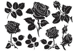 schwarz Silhouette einstellen von Rose mit Blätter Blume schwarz Silhouette Weiß Hintergrund vektor