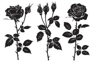 schwarz Silhouette einstellen von Rose mit Blätter Blume schwarz Silhouette Weiß Hintergrund vektor