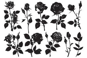 schwarz Silhouette einstellen von Rose mit Blätter Blume schwarz Silhouette Weiß Hintergrund vektor