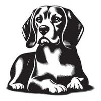 schön Beagle Hund, schwarz Farbe Silhouette vektor