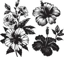 Hibiskus Blumen Zeichnung und skizzieren mit Linie Kunst, schwarz Farbe Silhouette vektor