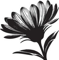 Blume Makro, schwarz Farbe Silhouette vektor