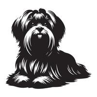 maltesisch Hund , schwarz Farbe Silhouette vektor