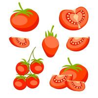 tomat uppsättning. röd tomat samling. hela, halv och skivad vektor