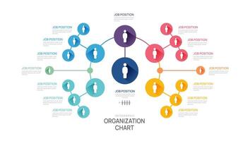 Infografik Vorlage zum Organisation Diagramm mit Geschäft Benutzerbild Symbole. Infografik zum Geschäft. vektor
