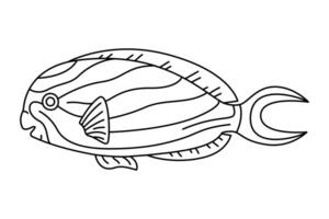tropisk fisk. enkel hand ritade. isolerat på vit bakgrund. klotter fisk linje konst teckning. konst terapi färg sida för barn och vuxna. svart och vit illustration vektor