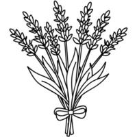 lavendel- blomma översikt illustration färg bok sida design, lavendel- svart och vit linje konst teckning färg bok sidor för barn och vuxna vektor