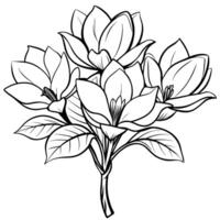 magnolia blomma översikt illustration färg bok sida design, magnolia blomma svart och vit linje konst teckning färg bok sidor för barn och vuxna vektor