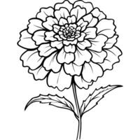 ringblomma blomma bukett översikt illustration färg bok sida design, ringblomma blomma bukett svart och vit linje konst teckning färg bok sidor för barn och vuxna vektor