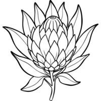 protea blomma översikt illustration färg bok sida design, protea blomma svart och vit linje konst teckning färg bok sidor för barn och vuxna vektor