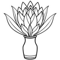 protea blomma översikt illustration färg bok sida design, protea blomma svart och vit linje konst teckning färg bok sidor för barn och vuxna vektor