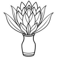 Protea Blume Gliederung Illustration Färbung Buch Seite Design, Protea Blume schwarz und Weiß Linie Kunst Zeichnung Färbung Buch Seiten zum Kinder und Erwachsene vektor