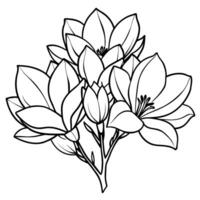 Magnolie Blume Gliederung Illustration Färbung Buch Seite Design, Magnolie Blume schwarz und Weiß Linie Kunst Zeichnung Färbung Buch Seiten zum Kinder und Erwachsene vektor