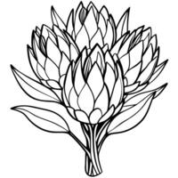 protea blomma översikt illustration färg bok sida design, protea blomma svart och vit linje konst teckning färg bok sidor för barn och vuxna vektor