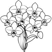 orkide blomma översikt illustration färg bok sida design, orkide blomma bukett svart och vit linje konst teckning färg bok sidor för barn och vuxna vektor