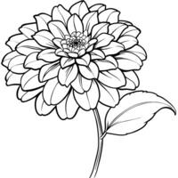 zinnia blomma översikt illustration färg bok sida design, zinnia blomma svart och vit linje konst teckning färg bok sidor för barn och vuxna vektor