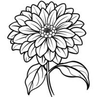 zinnia blomma översikt illustration färg bok sida design, zinnia blomma svart och vit linje konst teckning färg bok sidor för barn och vuxna vektor